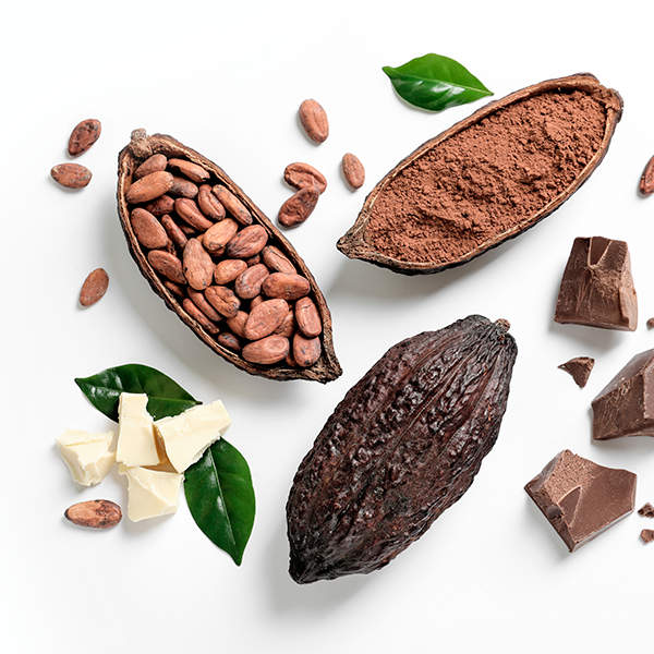 Шоколад (какао)
