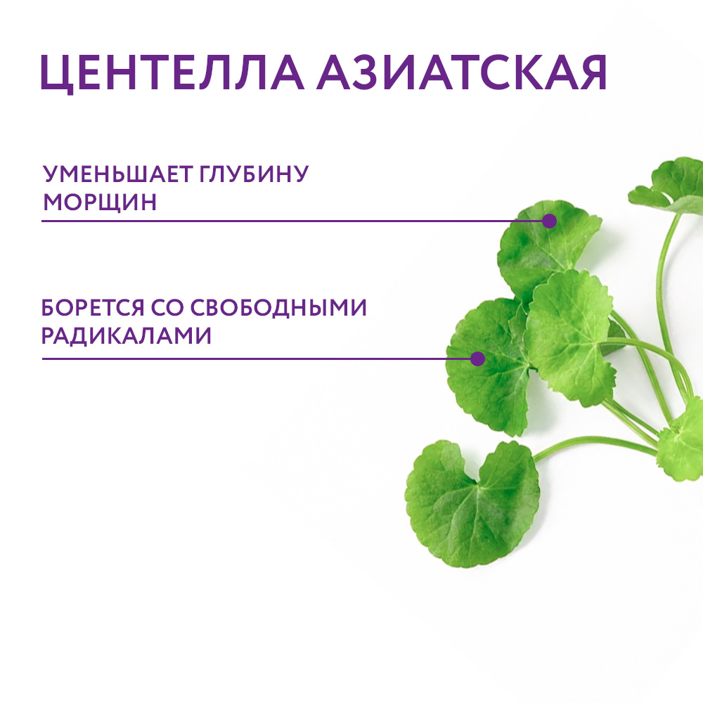 Центелла азиатская 2.png
