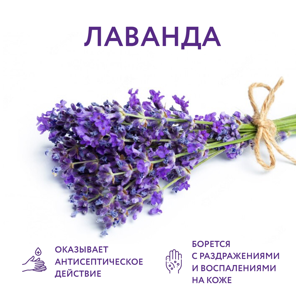  Лаванда_02.jpg